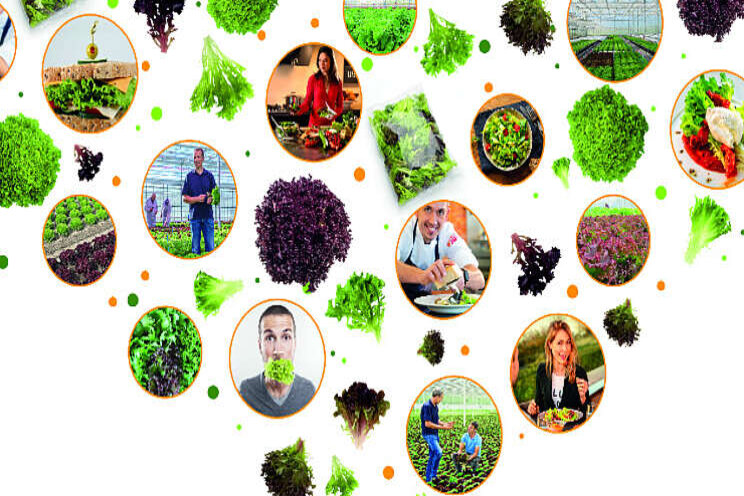 BASF viert 20 jaar Multileaf BASF viert 20 jaar Multileaf