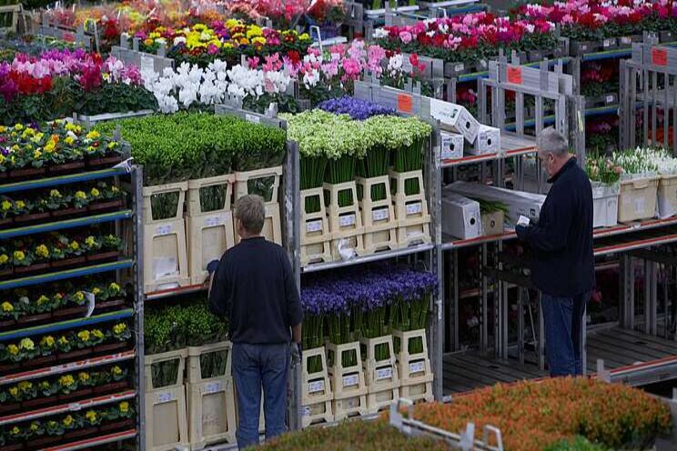 Export land- en tuinbouw blijft op de been in 2020 Export land- en tuinbouw blijft op de been in 2020