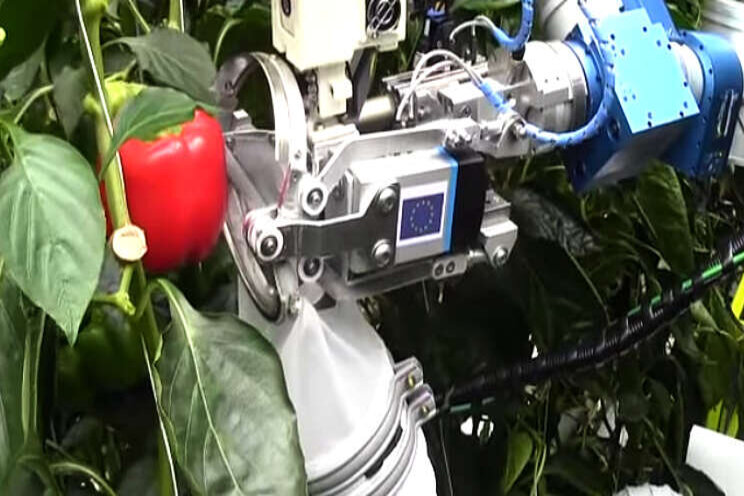 Wie werken momenteel aan oogstrobots in de wereld? Wie werken momenteel aan oogstrobots in de wereld?