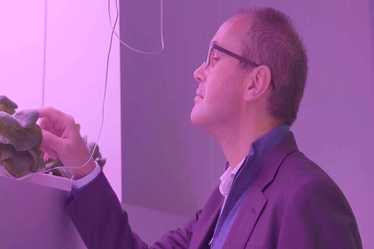 Video: Concrete innovaties in vertical farming Video: Concrete innovaties in vertical farming