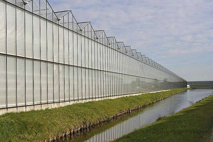Producten SURfaPLUS gaan over naar Syngenta Producten SURfaPLUS gaan over naar Syngenta