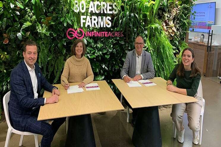 Delphy investeert in vertical farming Delphy investeert in vertical farming
