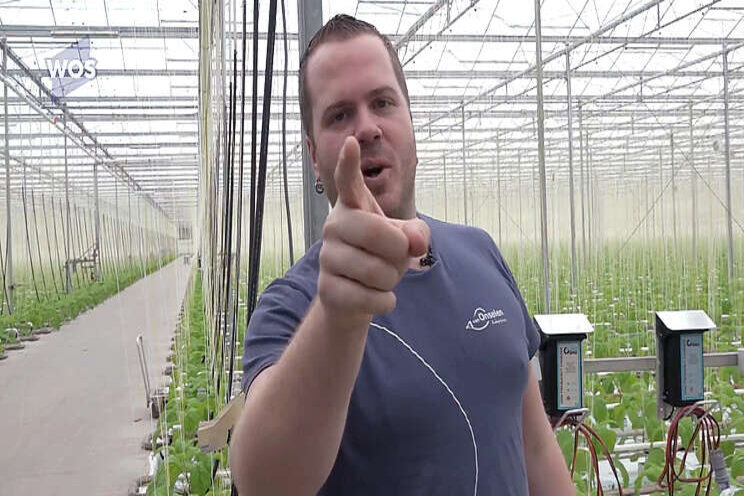 'The Aubergenius' staat gewoon weer in de kas 'The Aubergenius' staat gewoon weer in de kas