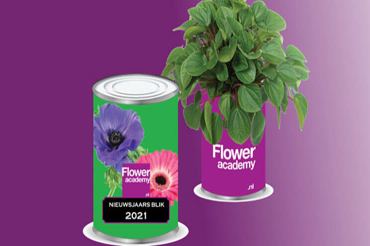 Floweracademy.NL biedt Nieuwjaarsblik via zoom Floweracademy.NL biedt Nieuwjaarsblik via zoom