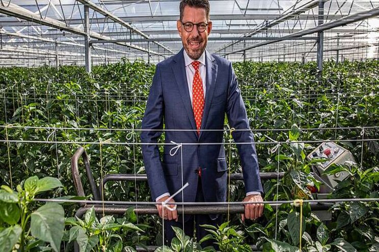 'Land opfleuren met bloemen Westland' 'Land opfleuren met bloemen Westland'