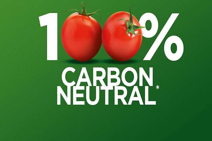Tomatenproducent Azura volledig CO2-neutraal Tomatenproducent Azura volledig CO2-neutraal