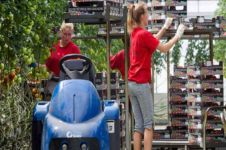 'Ook de tuinbouw wordt fors geraakt' 'Ook de tuinbouw wordt fors geraakt'
