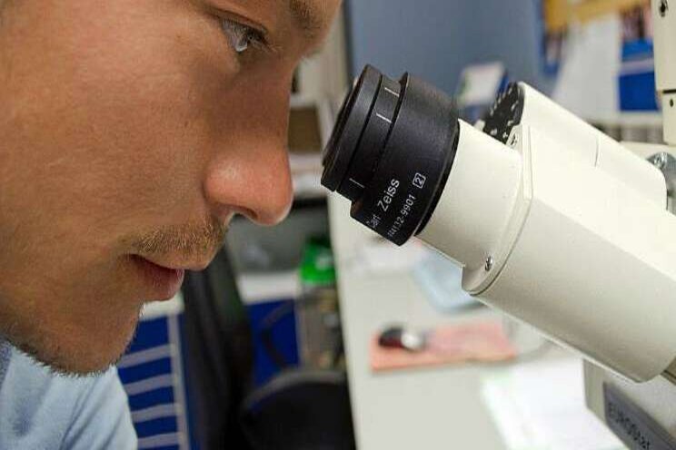 Webinar Plantgezondheid: virussen en bacteriën Webinar Plantgezondheid: virussen en bacteriën