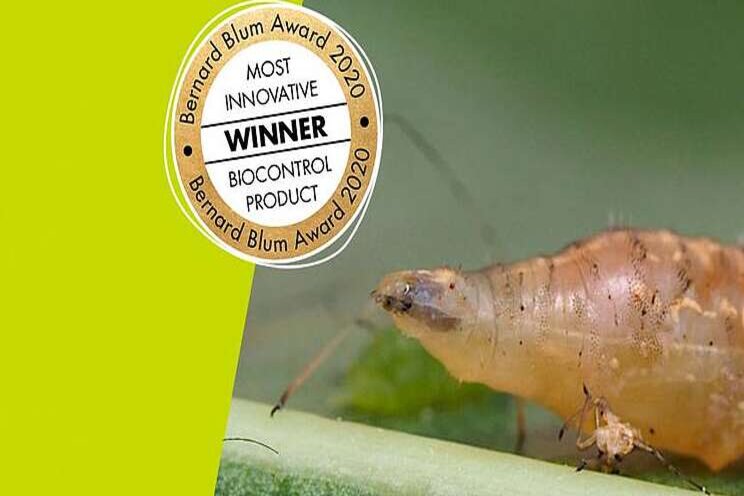 Award voor Biobest Award voor Biobest