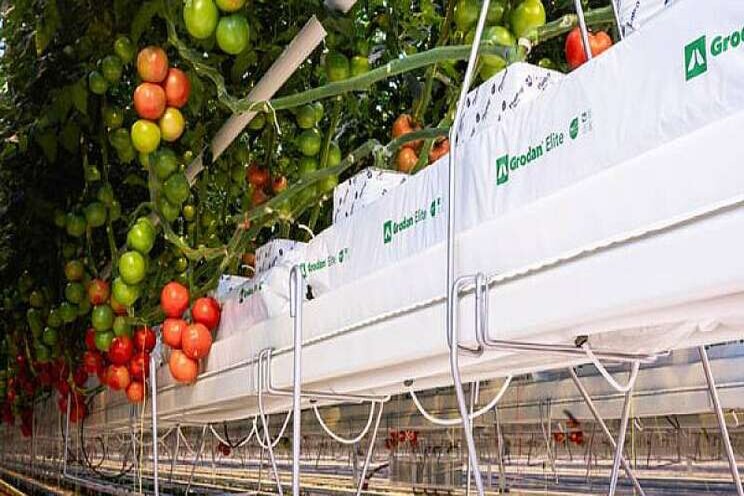 WUR: Hightech kassen zijn het meest duurzaam WUR: Hightech kassen zijn het meest duurzaam