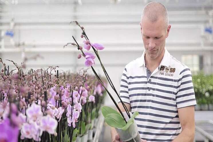 Video: Waterstromen in kaart gebracht Video: Waterstromen in kaart gebracht
