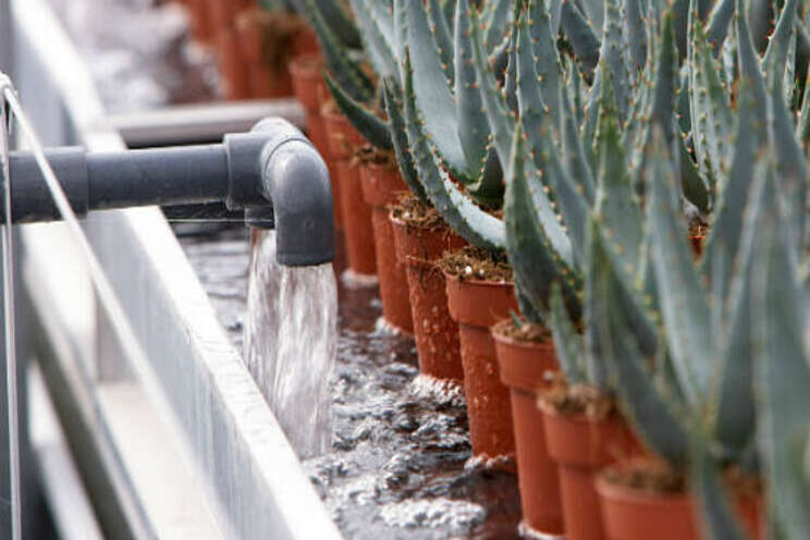 Next: actueel horti thema Water Next: actueel horti thema Water