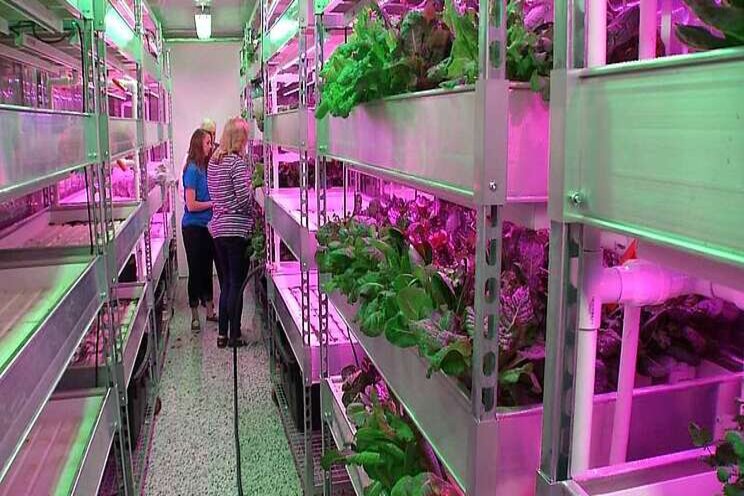 Nu op Paprika: VK-Pro Nu op Paprika: VK-Pro
