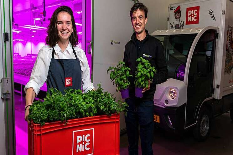 Picnic biedt lokale groenten en kruiden Picnic biedt lokale groenten en kruiden