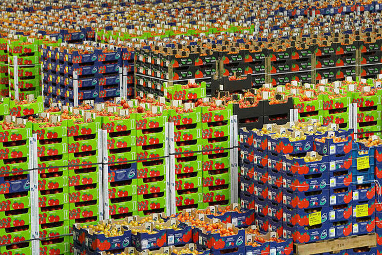 Online agf profiteert van lockdown VK Online agf profiteert van lockdown VK