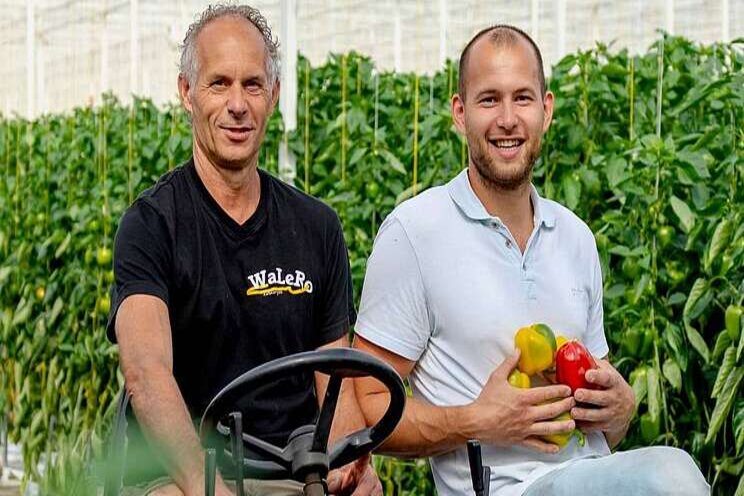Omzetgroei Oxin Growers Omzetgroei Oxin Growers