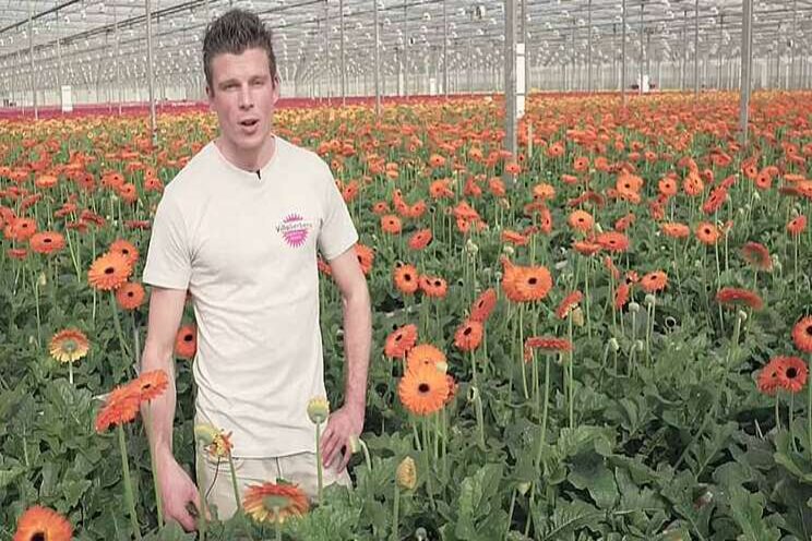 Video: Waterkwaliteit radijs Video: Waterkwaliteit radijs