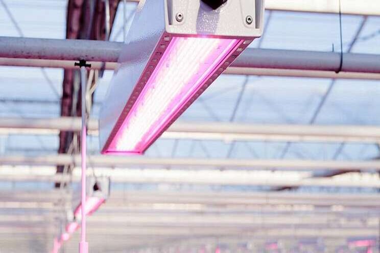 Hortilux lanceert HORTILED Top Summit en Vertex Hortilux lanceert HORTILED Top Summit en Vertex