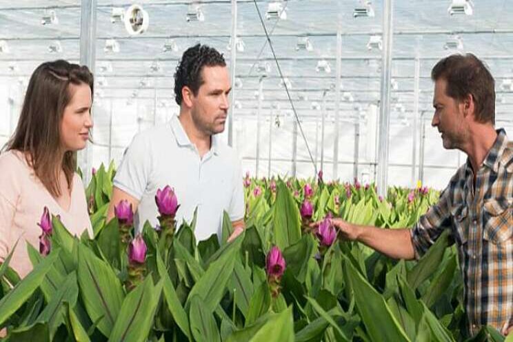 Training (leer)coaching voor niet leidinggevenden Training (leer)coaching voor niet leidinggevenden