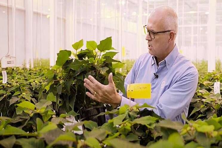 Video: Bescherming tegen rups Video: Bescherming tegen rups