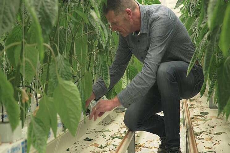 Video: Het belang van een schoon waterbassin Video: Het belang van een schoon waterbassin
