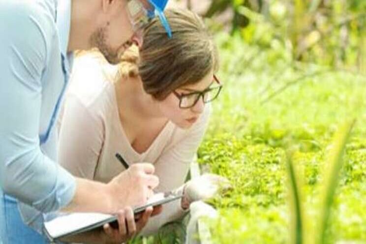 Groen denken beloond Groen denken beloond