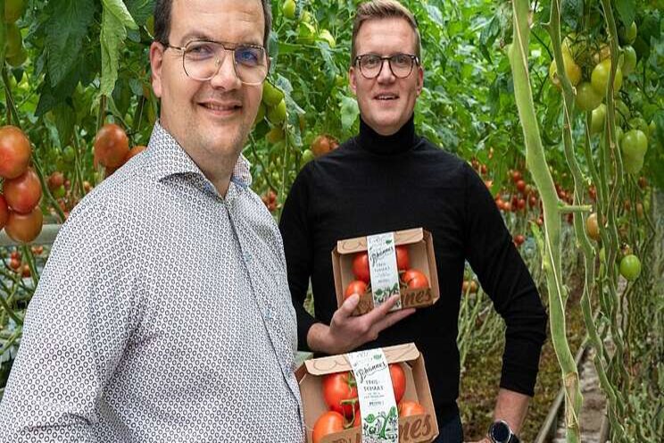 Duurzame agf-verpakkingen van natuurkarton Duurzame agf-verpakkingen van natuurkarton