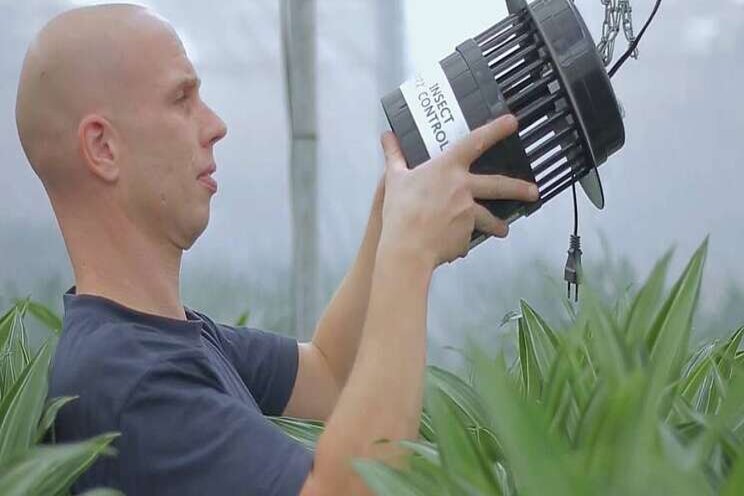 Kasgroeit werft technisch talent voor tuinbouw Kasgroeit werft technisch talent voor tuinbouw