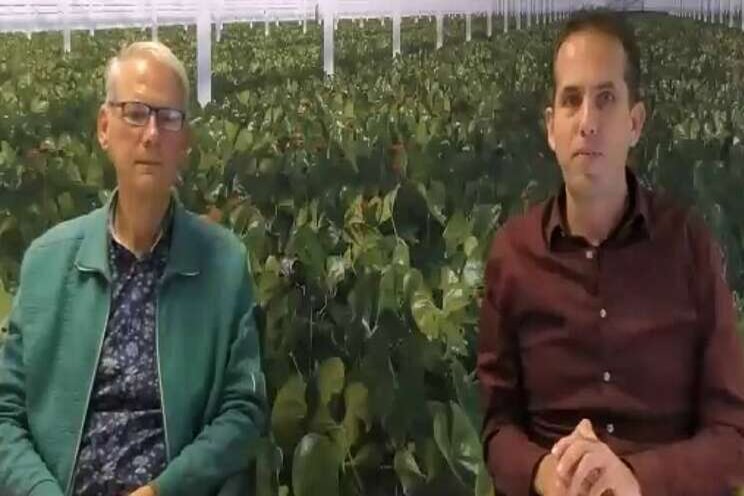 Terugkijken: webinar HNT over vochtbeheersing Terugkijken: webinar HNT over vochtbeheersing