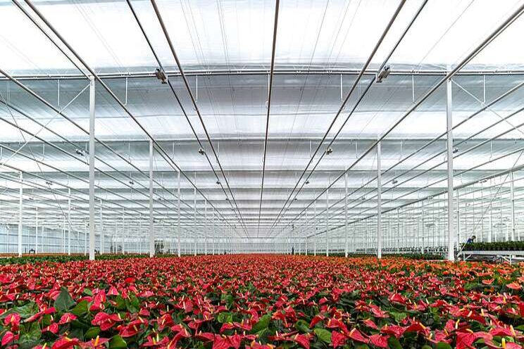 'Jaarrond het optimale lichtniveau voor elke plant' 'Jaarrond het optimale lichtniveau voor elke plant'
