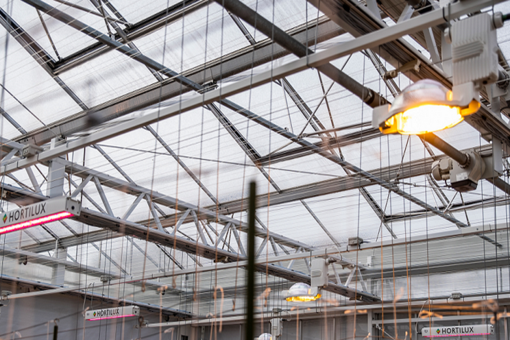 Eenvoudig LED toevoegen aan HPS-groeilichtsysteem Eenvoudig LED toevoegen aan HPS-groeilichtsysteem