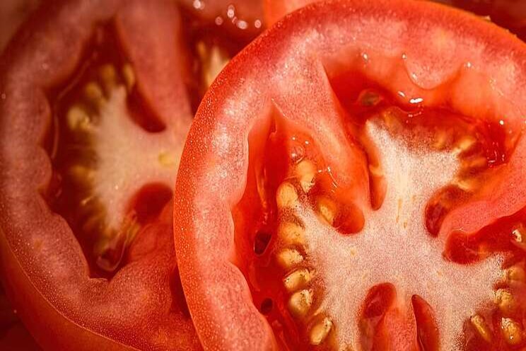 WUR zoekt mee naar betere tomatenrassen WUR zoekt mee naar betere tomatenrassen