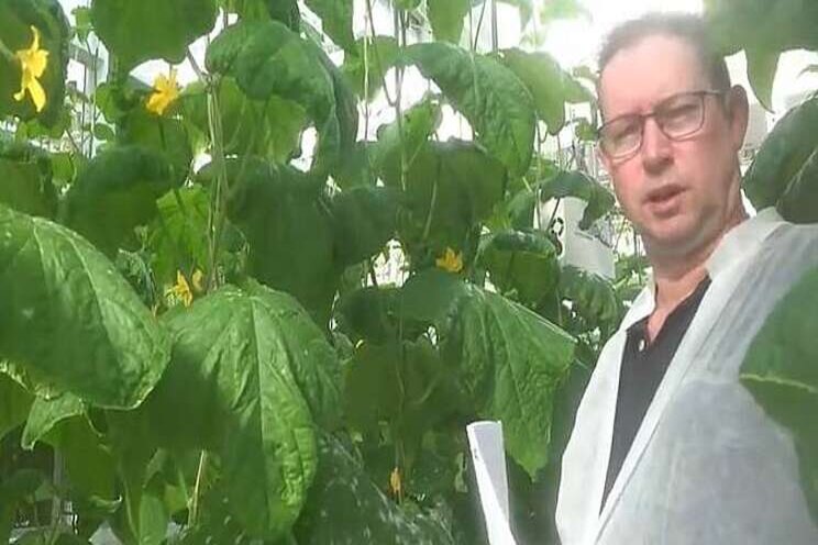 Video: Sterk tegen meeldauw Video: Sterk tegen meeldauw