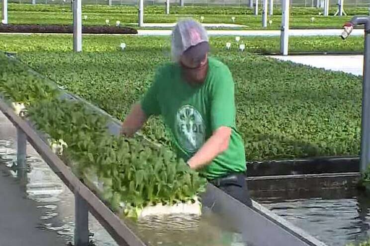Miljoeneninvestering maakt slateler grootste ter wereld Miljoeneninvestering maakt slateler grootste ter wereld
