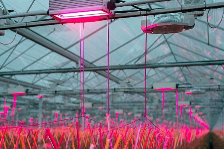 'Bespaar 45 procent op energie dankzij LED' 'Bespaar 45 procent op energie dankzij LED'
