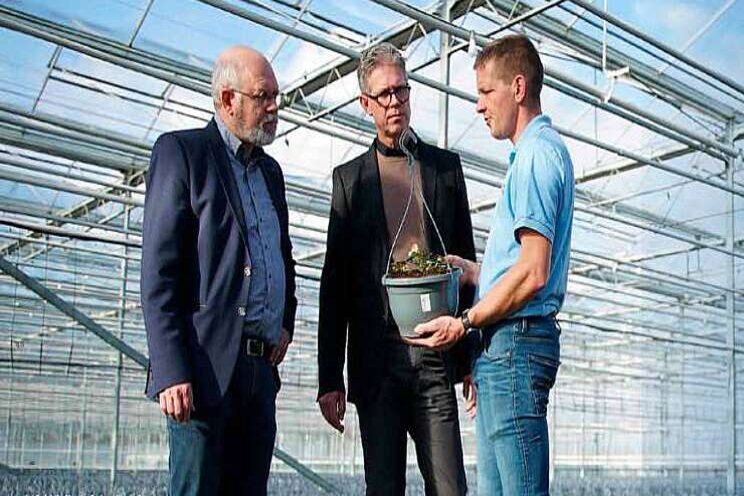 'Blind kunnen vertrouwen op kwaliteit potgrond' 'Blind kunnen vertrouwen op kwaliteit potgrond'