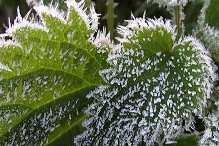 'Moleculaire verwarmers' vergroten opbrengst 'Moleculaire verwarmers' vergroten opbrengst