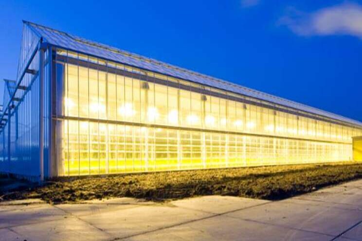 AgroEnergy teleurgesteld over verhoging van ODE AgroEnergy teleurgesteld over verhoging van ODE