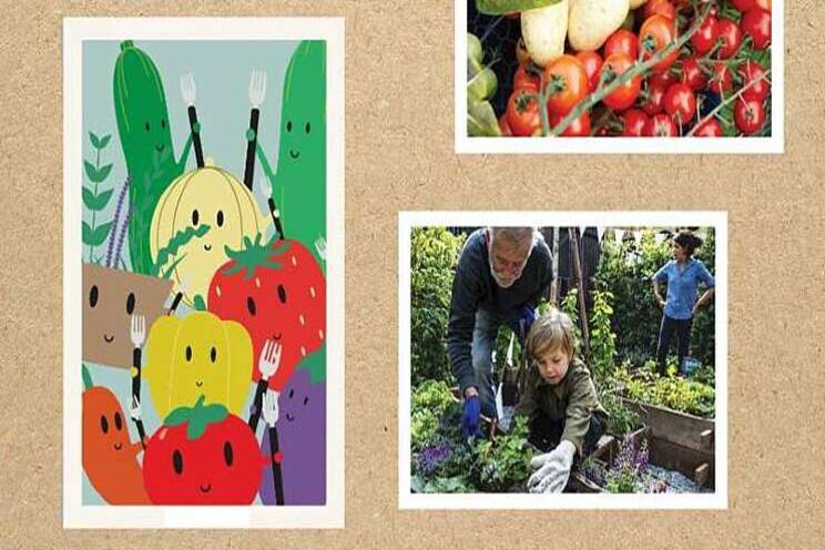 Beekenkamp introduceert concept hobbygroenten Beekenkamp introduceert concept hobbygroenten