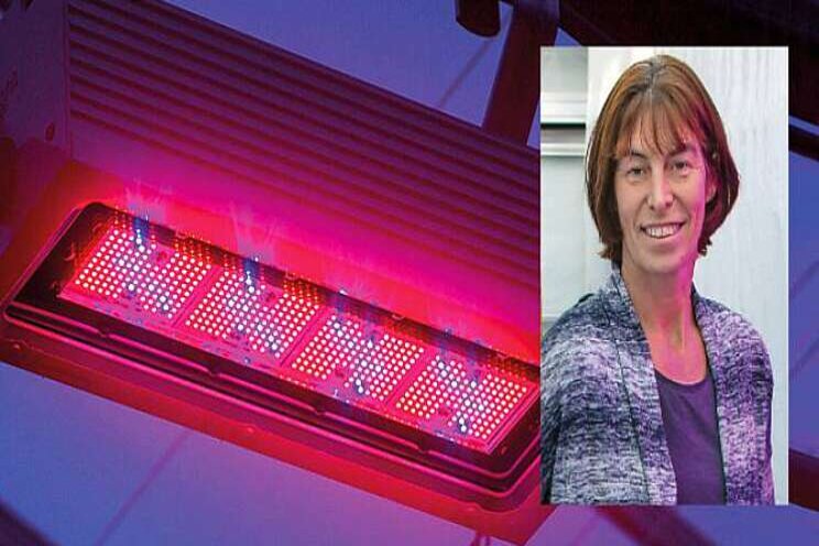 Stel ook jouw vraag over LED aan Anja Dieleman van WUR! Stel ook jouw vraag over LED aan Anja Dieleman van WUR!