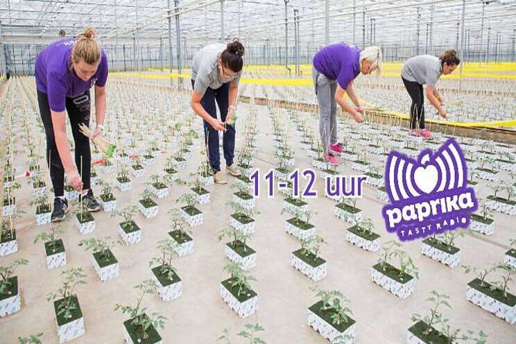 WPK morgen op Paprika WPK morgen op Paprika