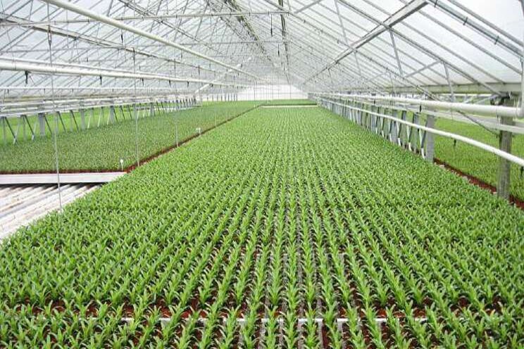 'Halfwasproducten naar klanten over hele wereld' 'Halfwasproducten naar klanten over hele wereld'