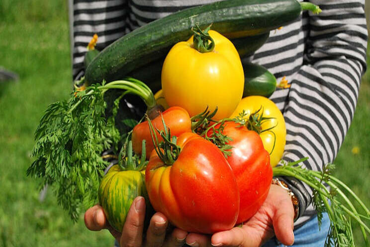 'Meer bio alleen met andere supermarkt' 'Meer bio alleen met andere supermarkt'