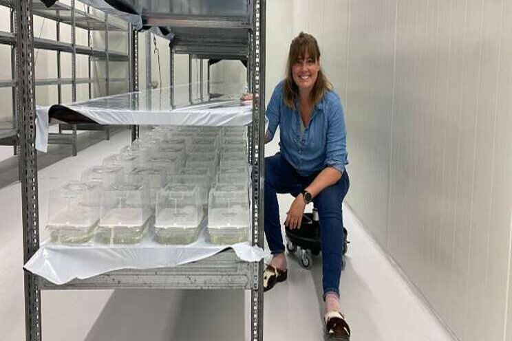 Noorse tak Biobest neemt faciliteiten in gebruik Noorse tak Biobest neemt faciliteiten in gebruik