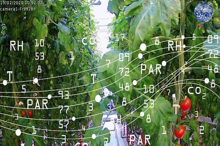 Data Driven Growing en AI: waar moet je beginnen? Data Driven Growing en AI: waar moet je beginnen?