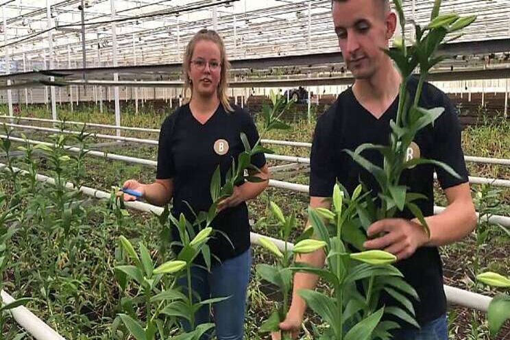 Janneke en Lennart vloggen vanuit de kas van Bredefleur Janneke en Lennart vloggen vanuit de kas van Bredefleur