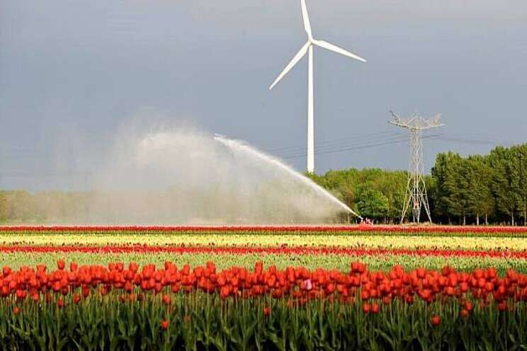Beregeningsverbod heeft overdag nauwelijks effect Beregeningsverbod heeft overdag nauwelijks effect