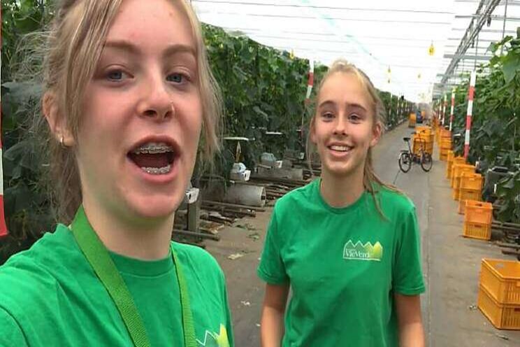Maud vlogt vanuit de kas van Vieverde komkommers Maud vlogt vanuit de kas van Vieverde komkommers