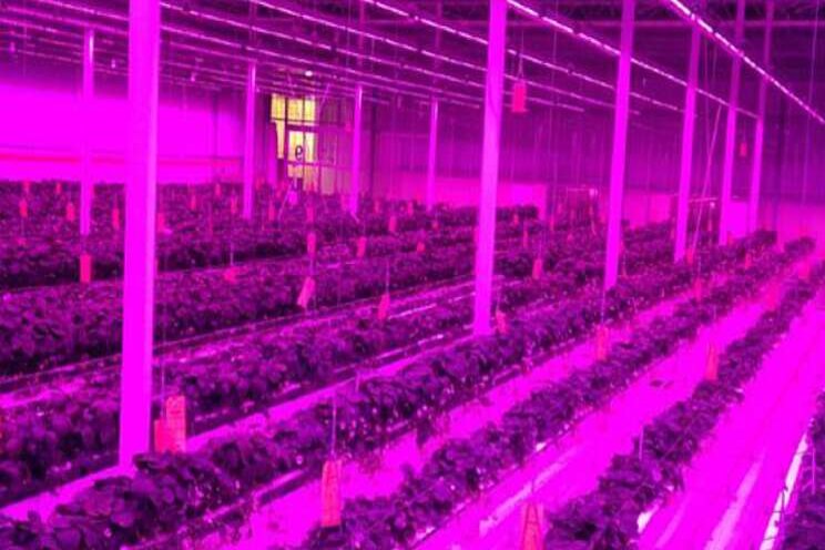 Beoogde winterproductie nog niet gehaald Beoogde winterproductie nog niet gehaald