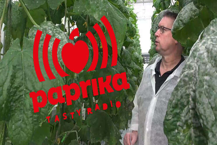 Tot 12.00 uur: HortiPro live Tot 12.00 uur: HortiPro live